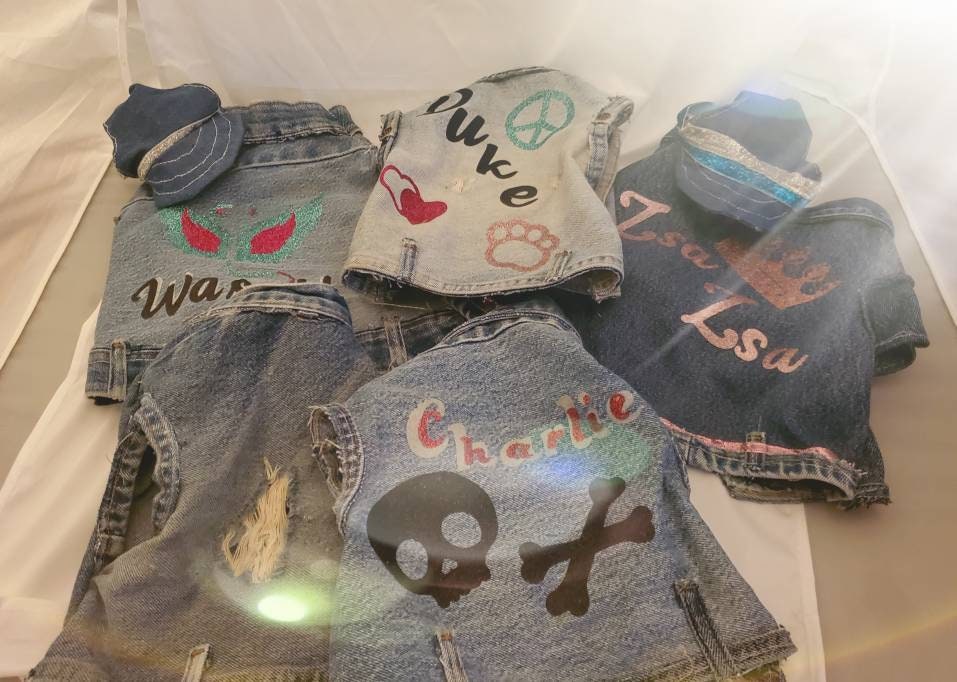 Personalize Blue Jean Pet Jacket, Personalize Pet Jacket, Blue Jean dog jacket, Blue jean cat jacket, Blue jean pet jacket, cat clothes