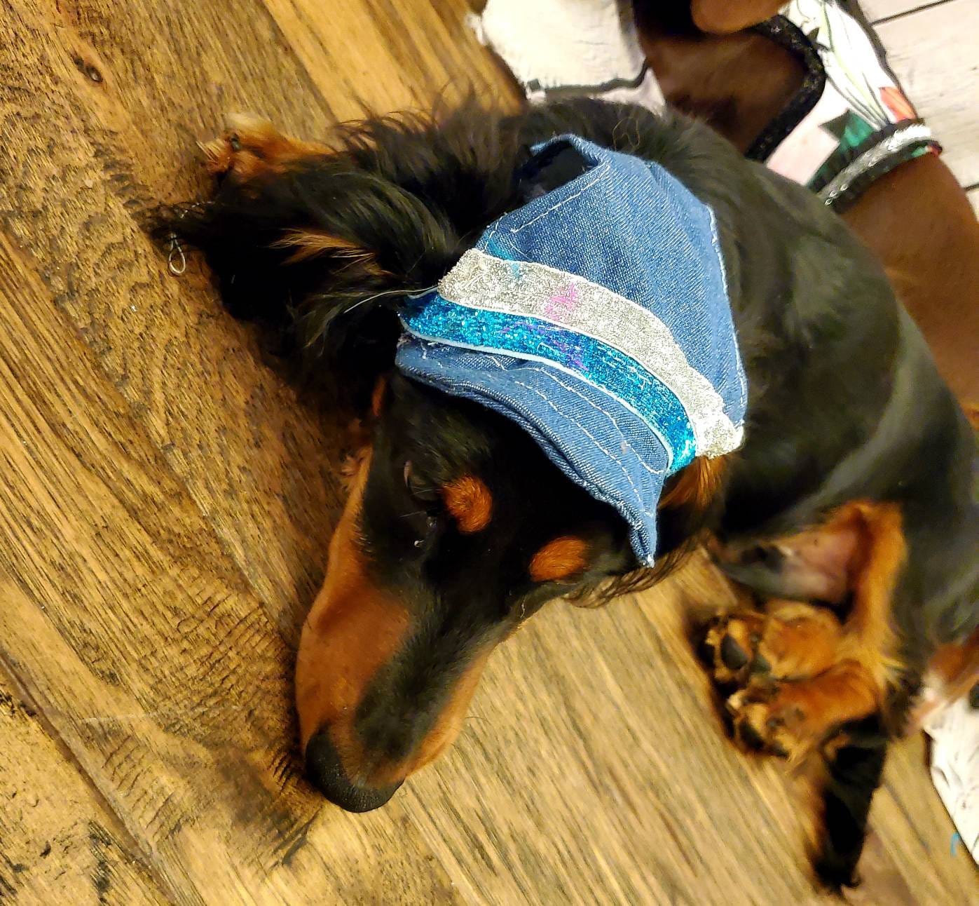Personalize Pet hats, Blue Jean Pet Hat, Blue Jean Dog hat, Blue jean cat hat, pet hats, dog hats, cat hats, hats for dogs, hats for cats