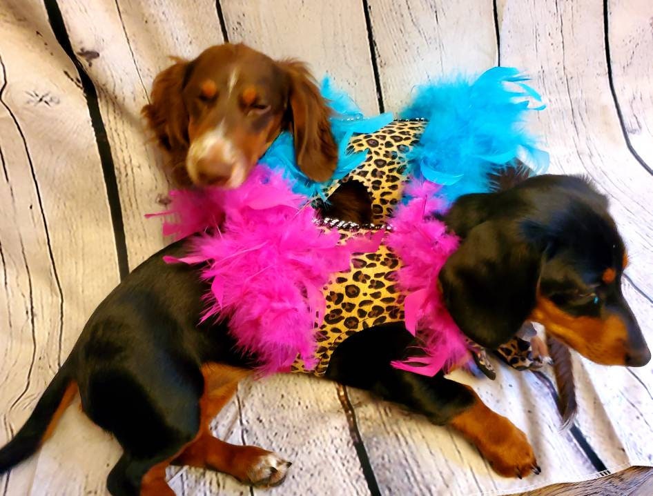 Leopard Feather Pet Jacket, leopard feather cat Jacket, leopard feather dog jacket, feather pet jacket, feather dog jacket, dog costume