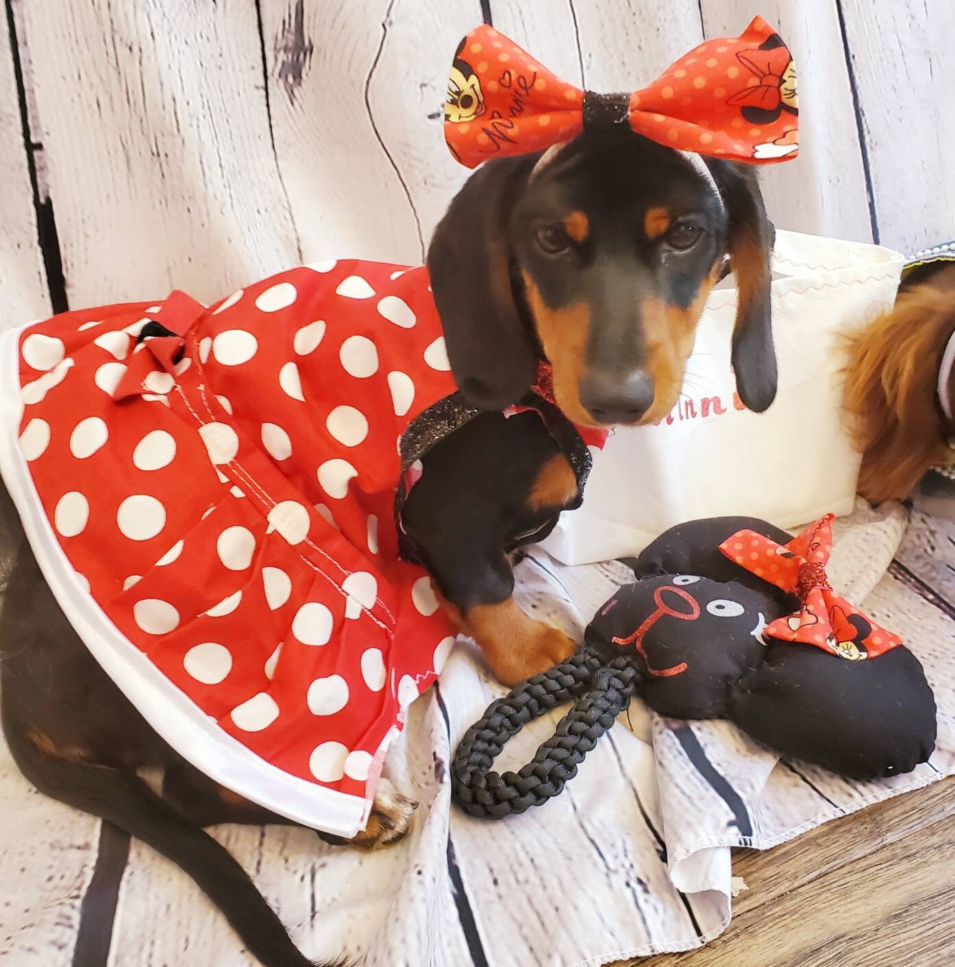 Minnie Mouse costume, Minnie Mouse costume dress, Minnie mouse cat dress costume, red polka pet dress, red polka dot dog dress