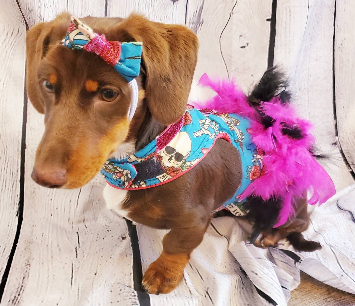 Tattoo print pet harness, Tattoo print pet dress jacket, feather harness jacket, pet harness, cat harness, dog harness, dog dress, pet dress