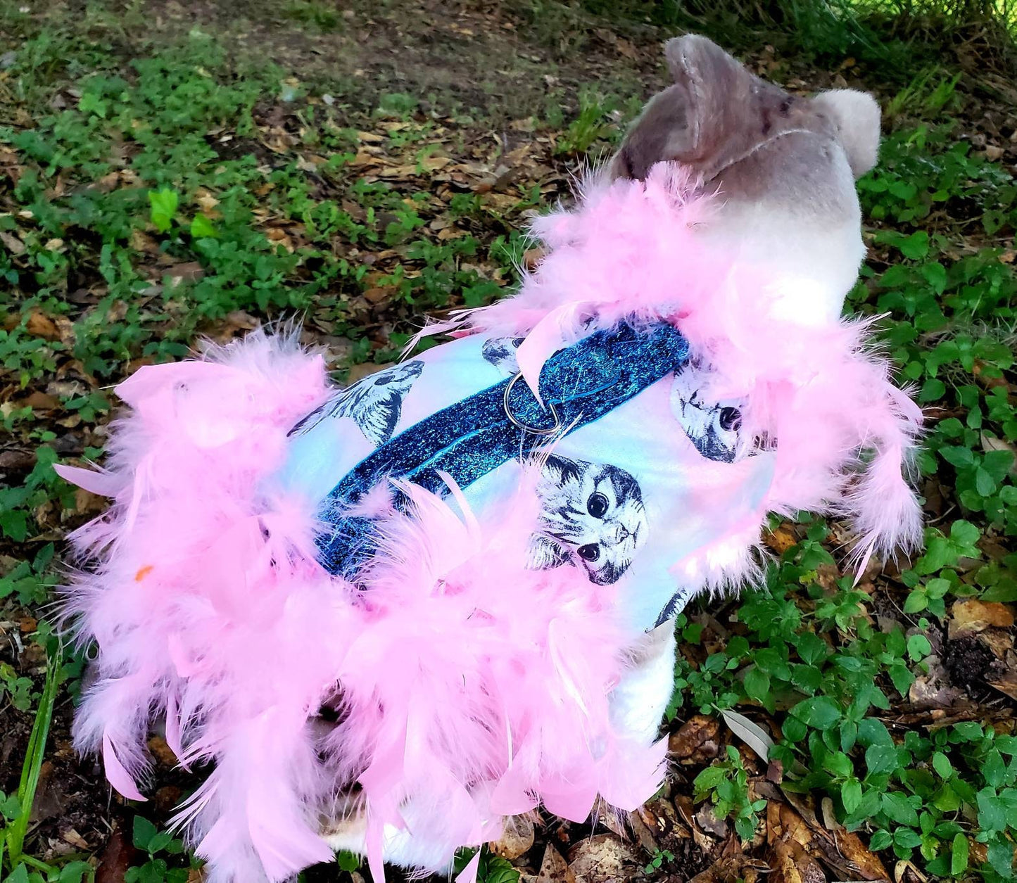 Cat Harness, Cat print shirt, Cat dress, cat feather harness, cat feather dress, pet harness, cat clothing, pet dress, dog harness