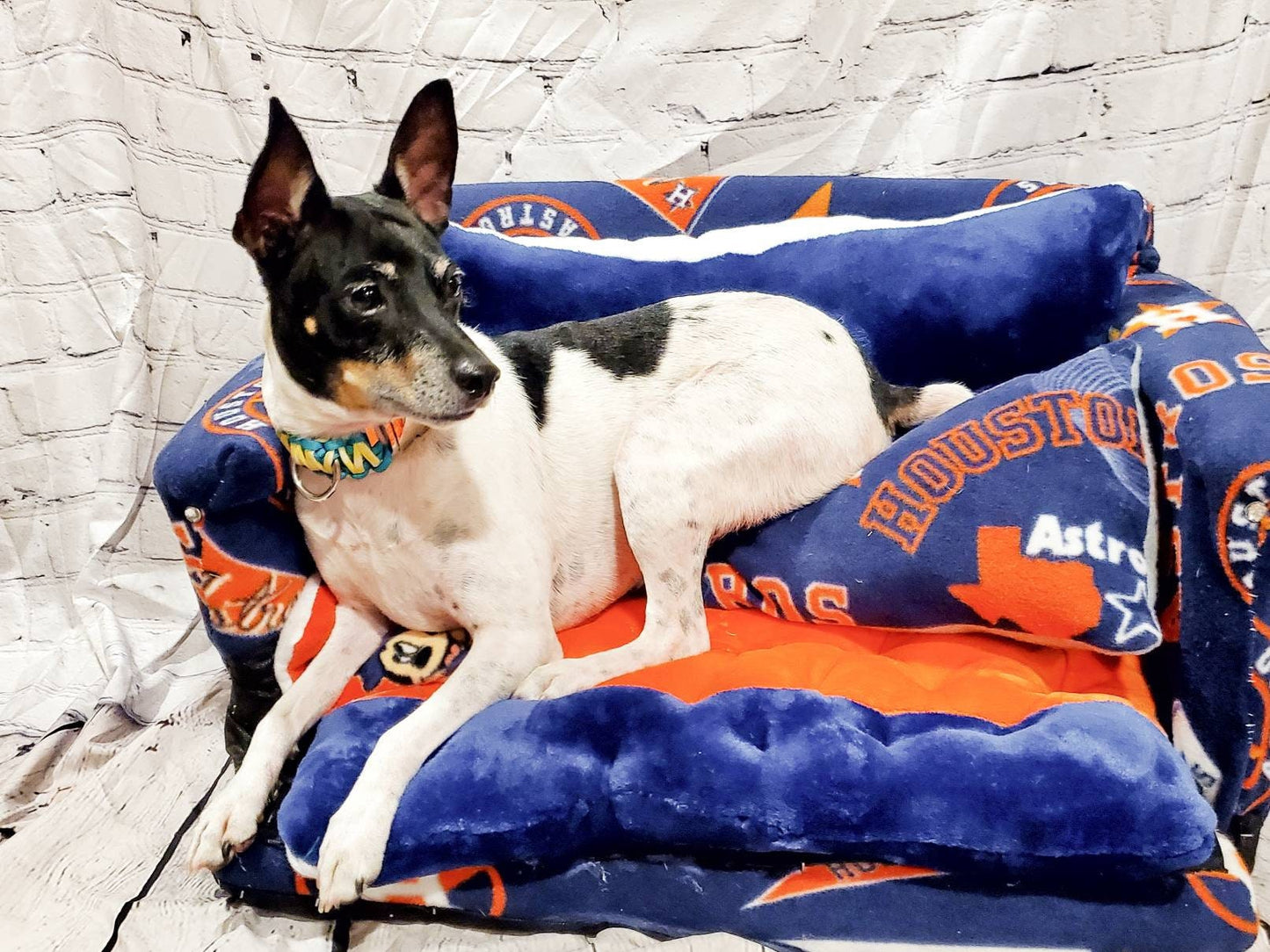 Houston Astros Pet Loveseat Couch, Houston Astros Pet bed, Houston Astros dog cat couch, dog bed, pet couch, dog couch, dog love seat