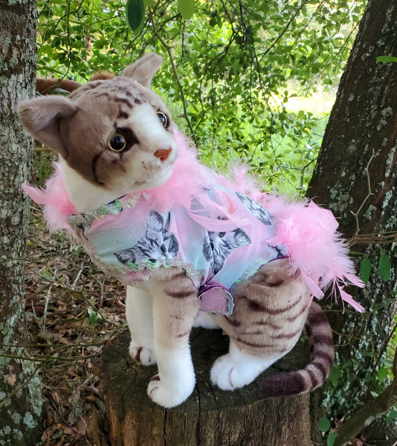 Cat Harness, Cat print shirt, Cat dress, cat feather harness, cat feather dress, pet harness, cat clothing, pet dress, dog harness