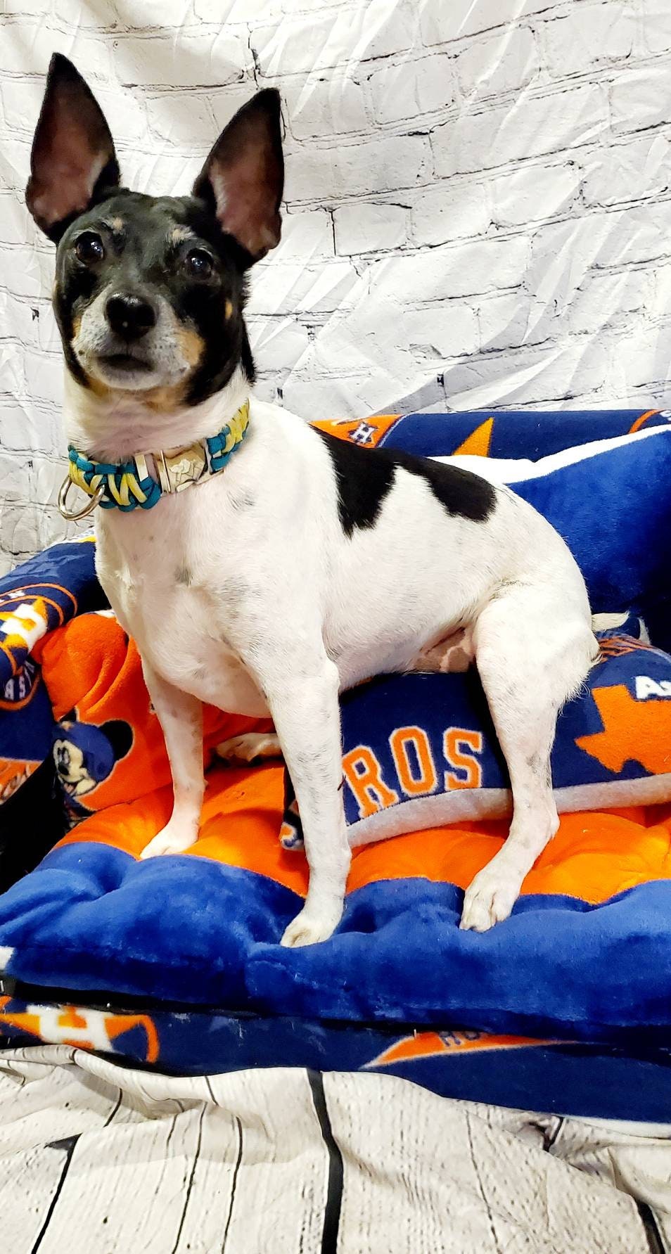 Houston Astros Pet Loveseat Couch, Houston Astros Pet bed, Houston Astros dog cat couch, dog bed, pet couch, dog couch, dog love seat
