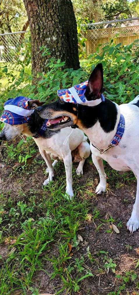 Houston Astro Pet Hat, Astros dog hat, Astros cat hat, Astros Pet cap, Houston Astro Pet apparel, Astro Pet clothes, Pet Hats, Sports Hat