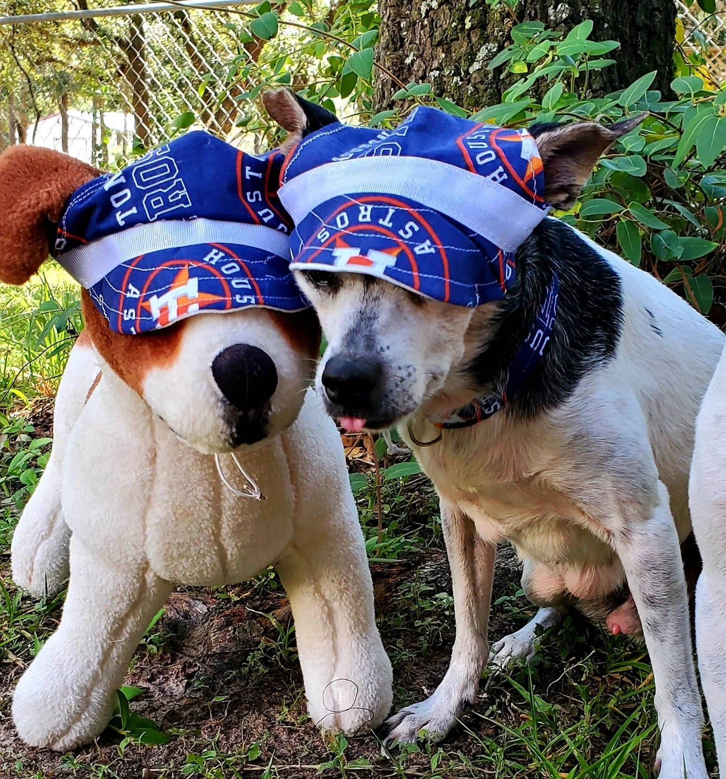 Houston Astro Pet Hat, Astros dog hat, Astros cat hat, Astros Pet cap, Houston Astro Pet apparel, Astro Pet clothes, Pet Hats, Sports Hat