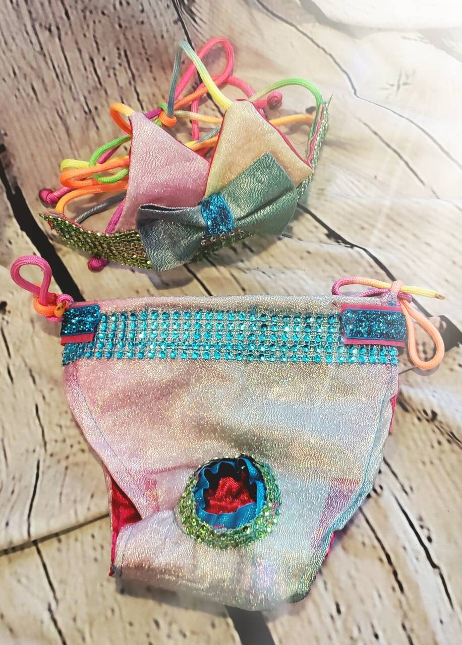 Pet Bedazzled Pet Bathing Suit, Pet string bikini, dog bathing suit, pet bikini, dog bikini, cat bikini, Irradescen bikini, triangle pet bikini