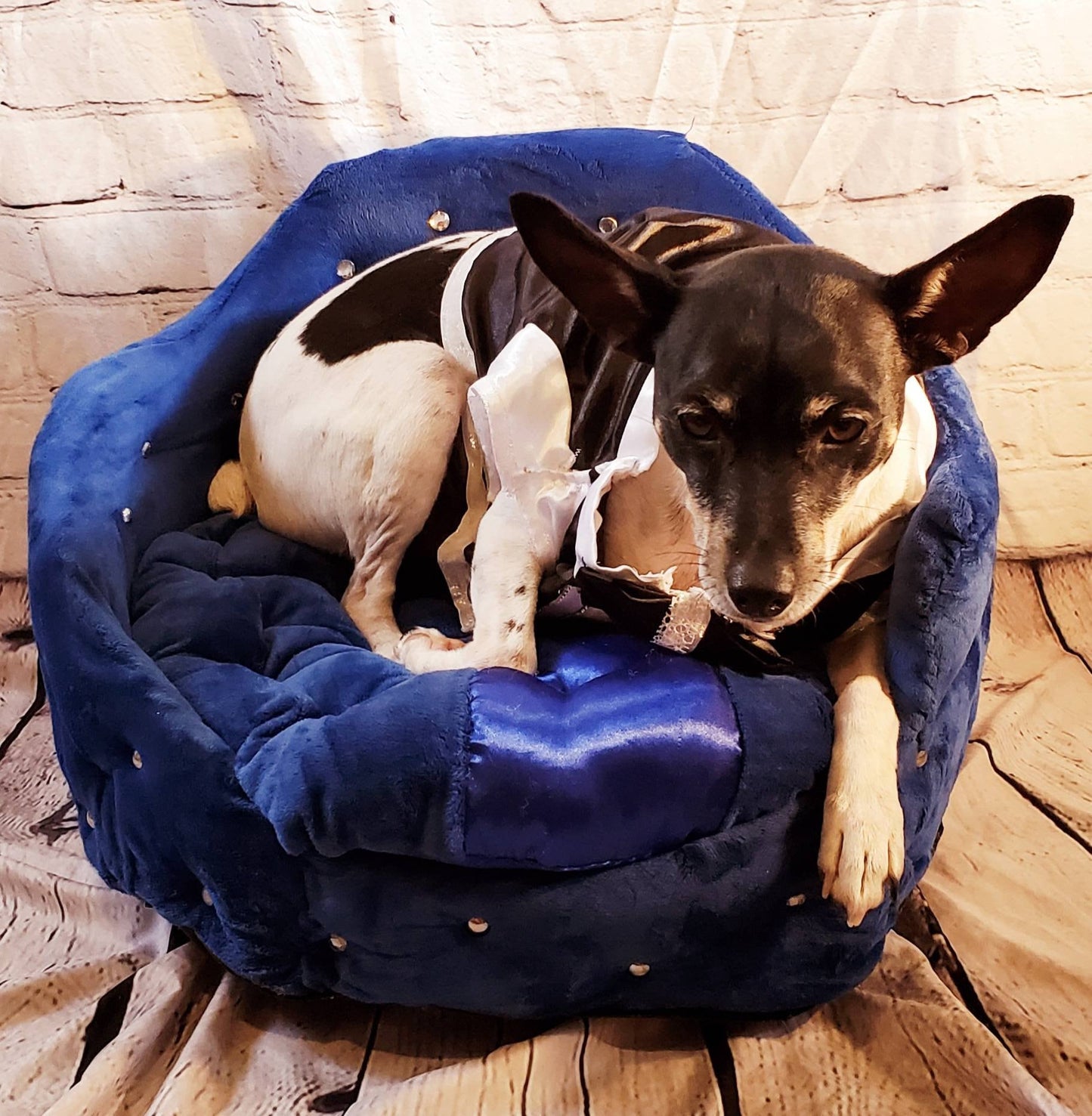 Round prince bed, luxury pet bed, diamond arclic luxury dog bed, Round bed with legs, cat dog pet bed, blue Round pet bed,