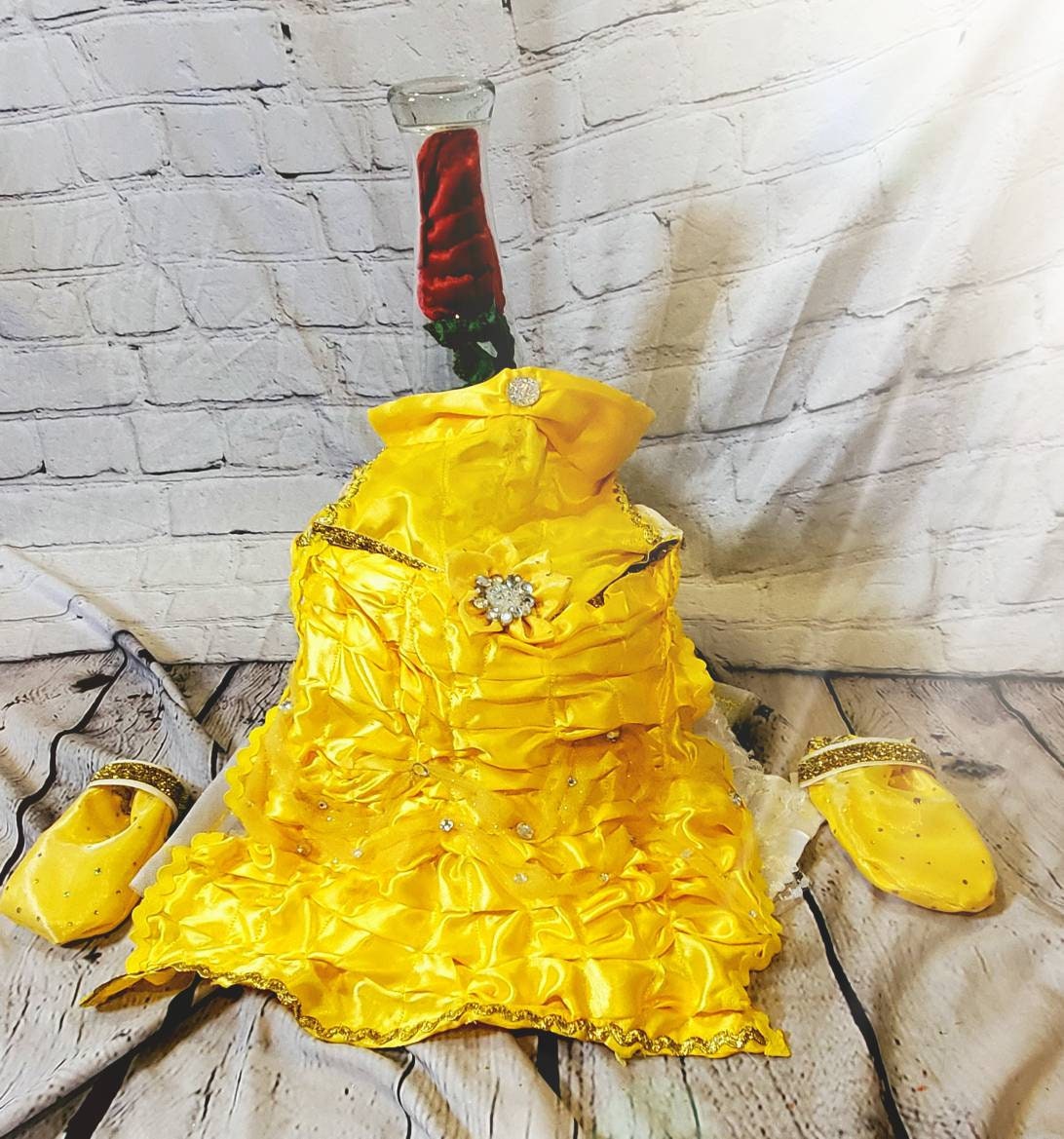 Pet Belle Costume, Beauty and the Beast Pet Costume, Belle dog costume, Belle cat costume, Disney princess Pet, Halloween Pet costume