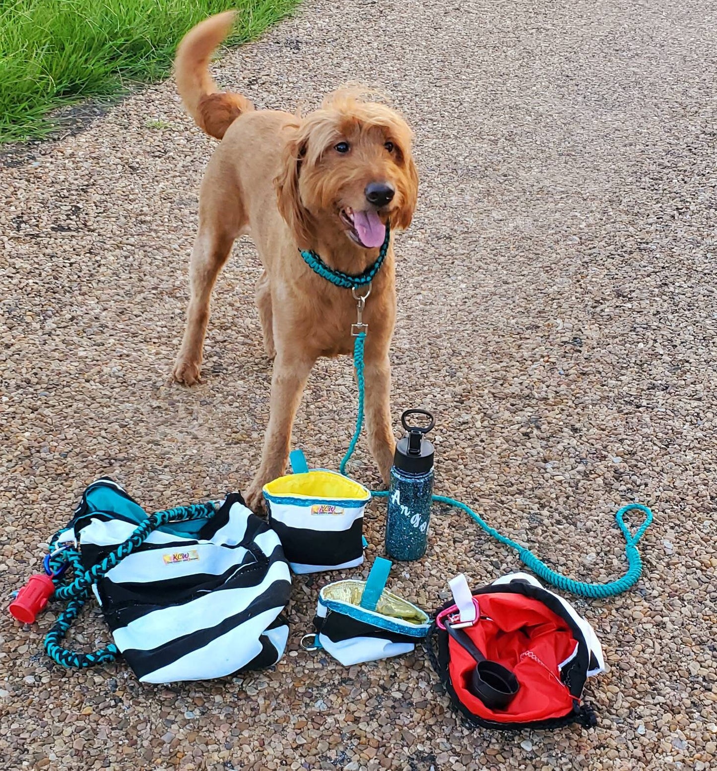 Pet Travel bag, pet carrier, Pet food bag, Pet cloth, food, water bowl, walking bag, leash holder, dog travel bag, Pet carrier, Cat travel