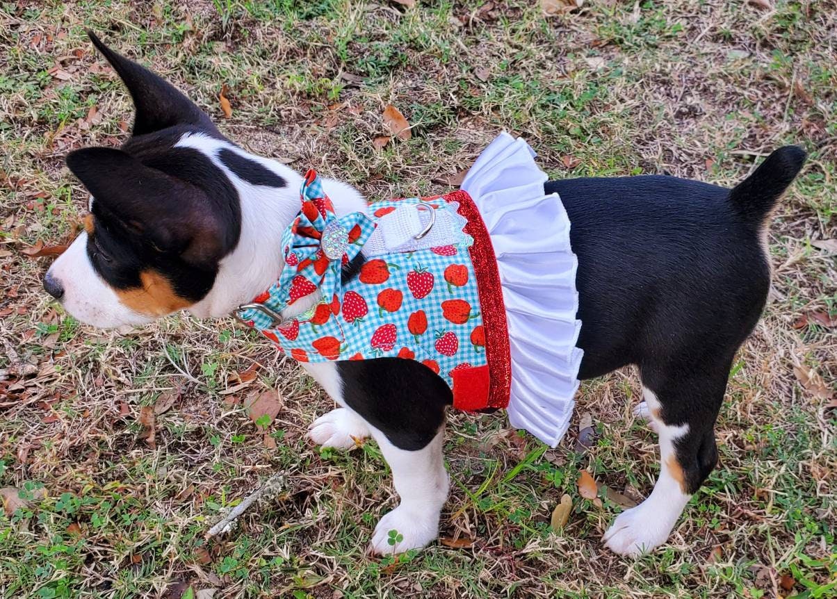 Pet harness dress, harness with skirt, female pet harness, cat harness, dog harness, pet dress with d ring, dress harness, dog harness dress