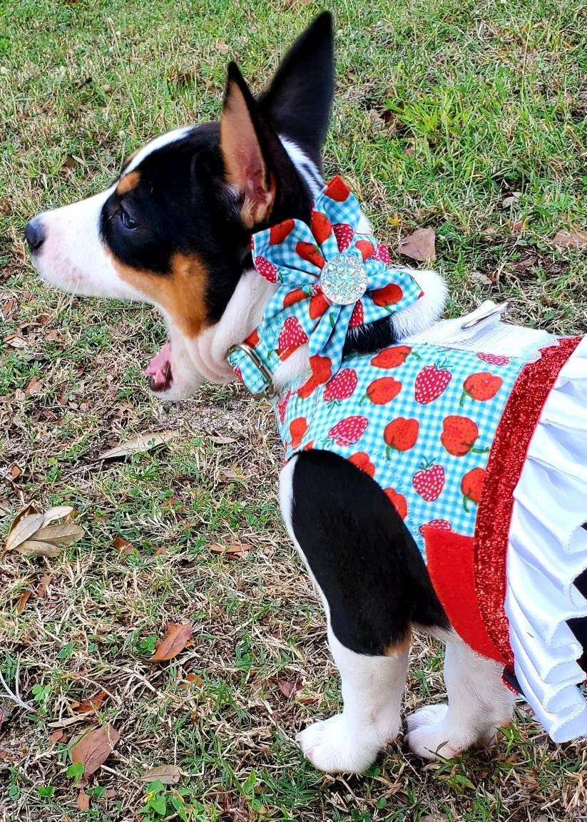 Pet harness dress, harness with skirt, female pet harness, cat harness, dog harness, pet dress with d ring, dress harness, dog harness dress