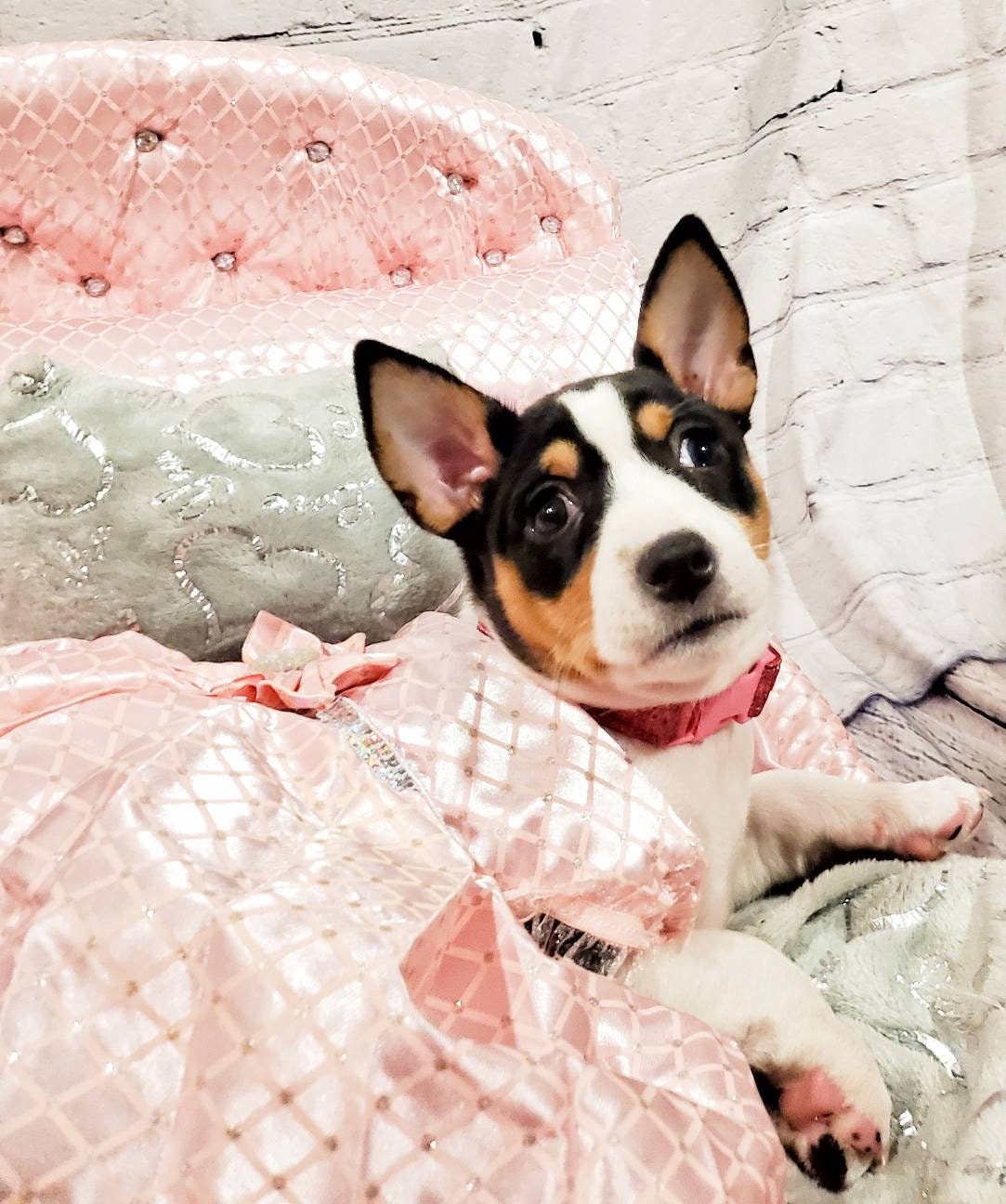 Custom Satin Pink Pet wedding dress pet wedding party dress princess pet dress, classy pet dress, classy dog dress, cat pet dres dog wedding