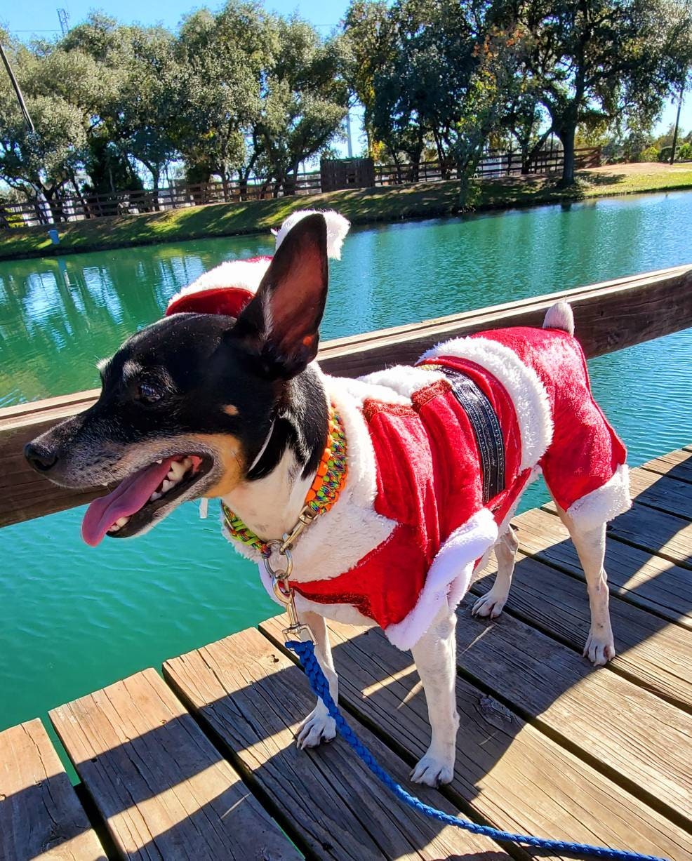 Pet Santa Costume, santa dog costume, santa full pet costume, santa cat costume, dog santa costume, Christmas pet costume, holiday pet