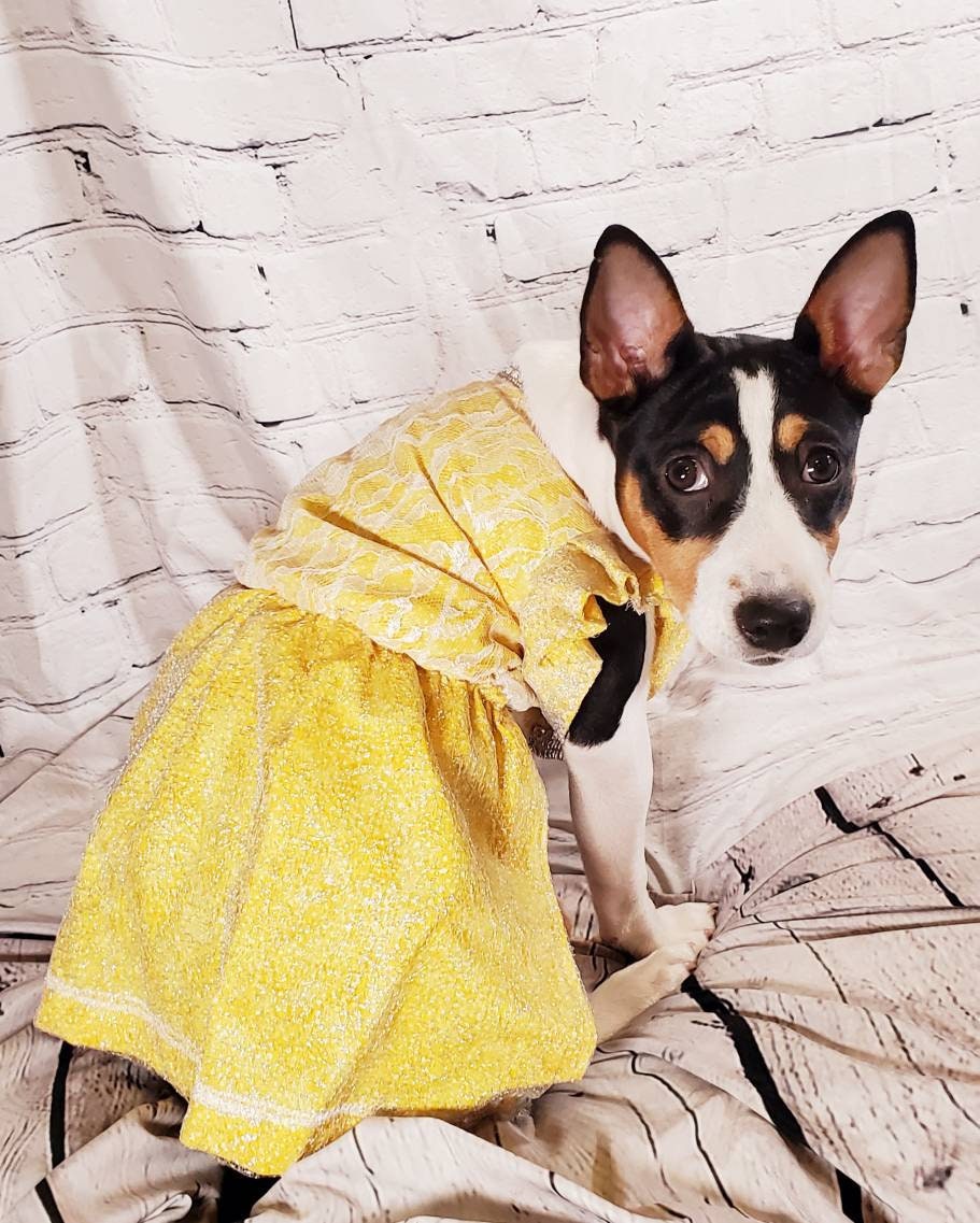 Lace mesh pet dress, yellow pet dress, lace dog dress, lace cat dress, mesh dog dress, pet sundress, dog dresses, polka dot pet dress