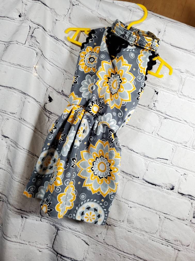 Flower Burst pet dress, flower Pet dress, flower cat dress, flower dog dress, dress collar combo, matching dress, dog sundress