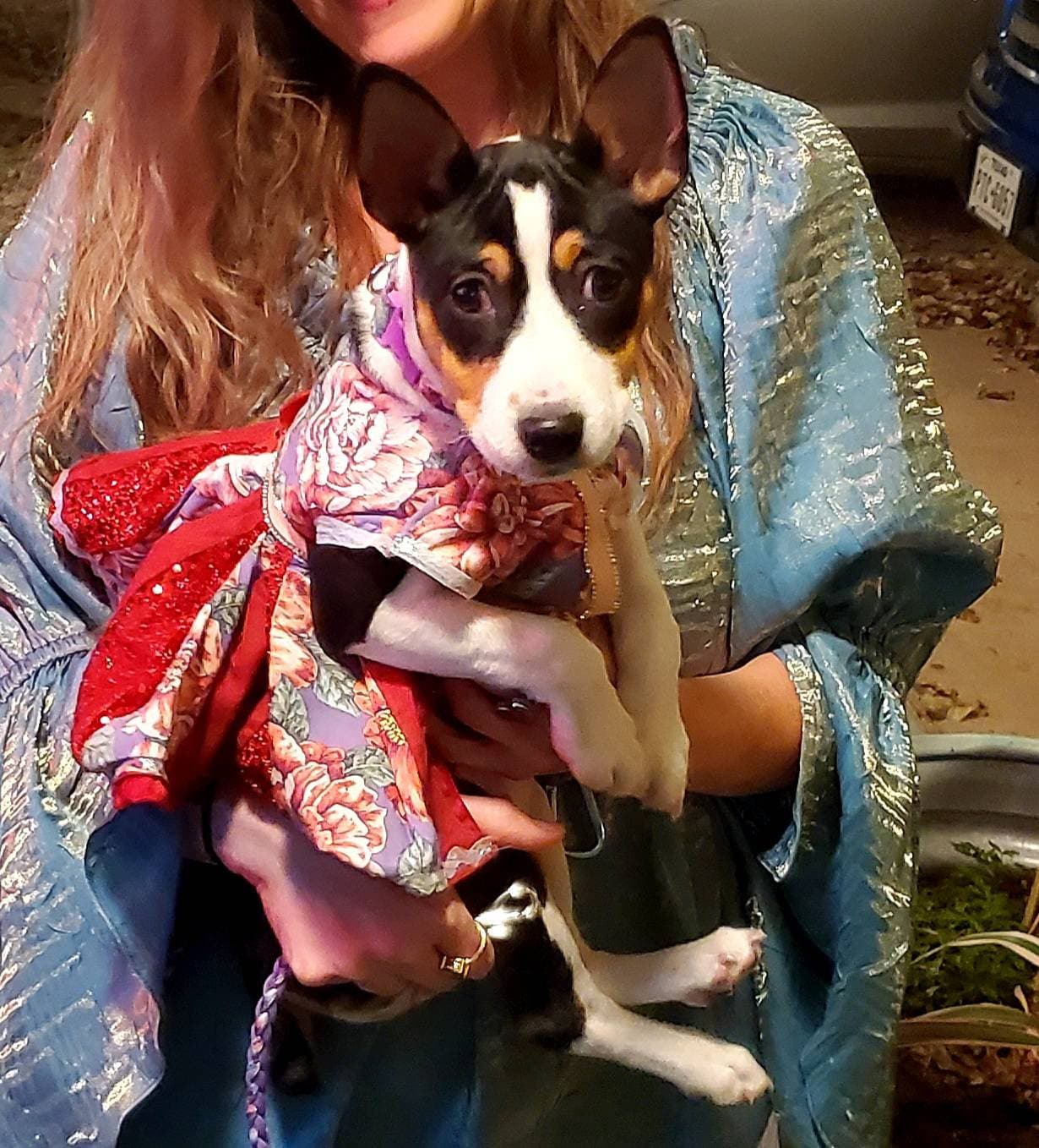 Flower purple pet dress, flower sequin Pet dress, special occasion pet dress, flower dog dress, fancy pet dress, bling dog dress, ruffle pet dress