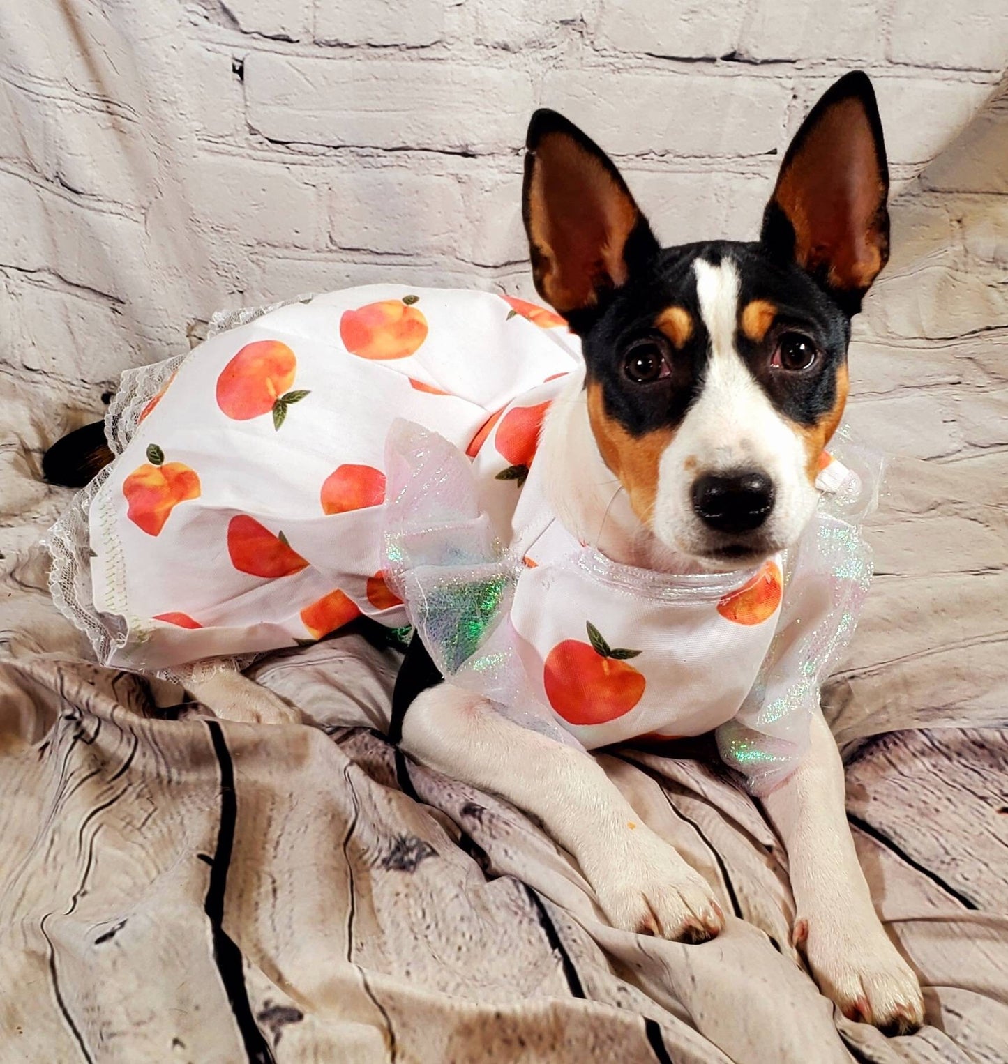 Peach Pet sleeve dress, peach Pet dress, peach cat dress, peach dog dress, peach cat dress, peach dog dress, pet dresses, peaches pet dress