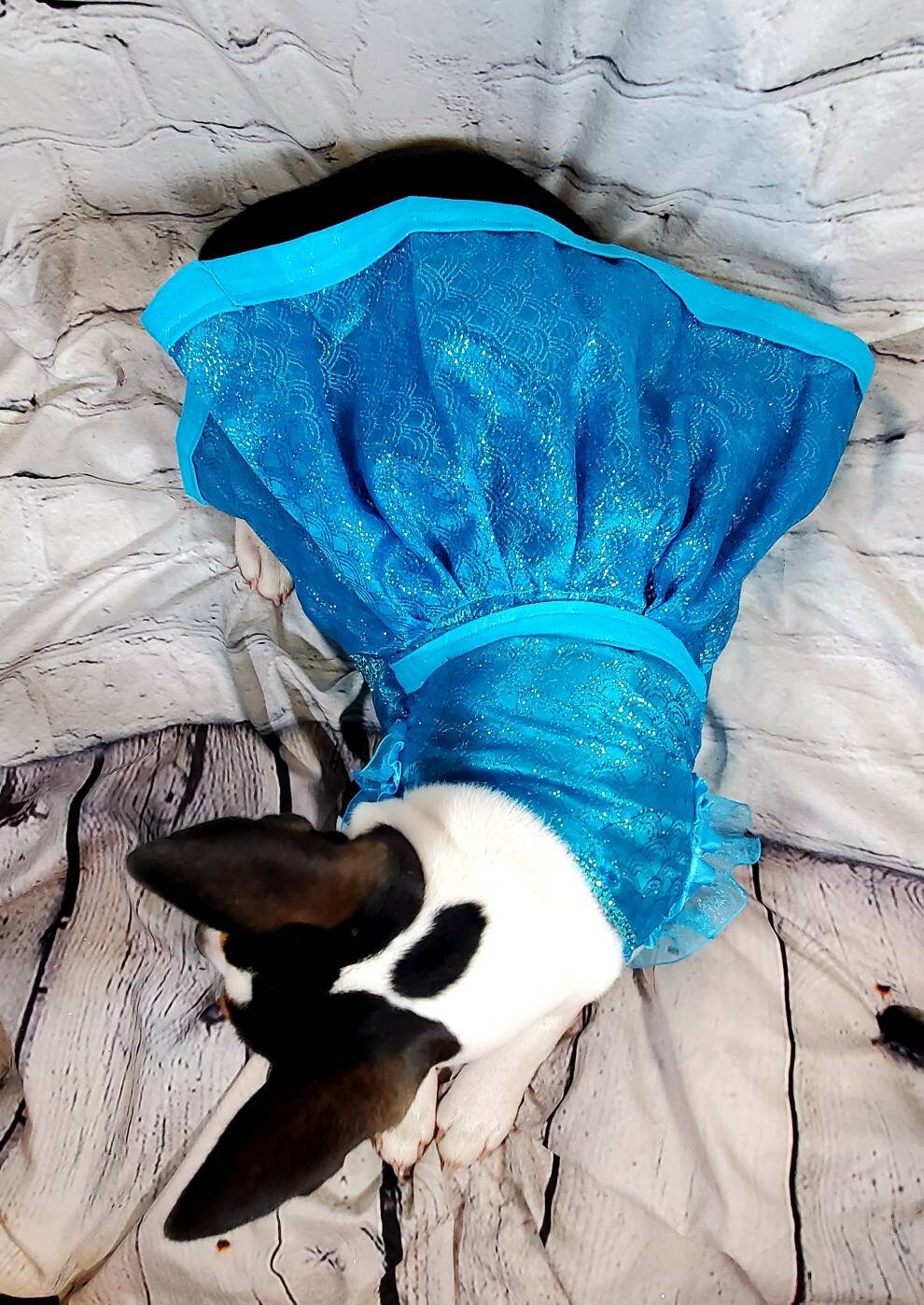 Mermaid blue pet dress, Mermaid dog dress, Irradescent per dress, glitter Pet dress, Cat dress, Dog dress, dress for pets, special occasion