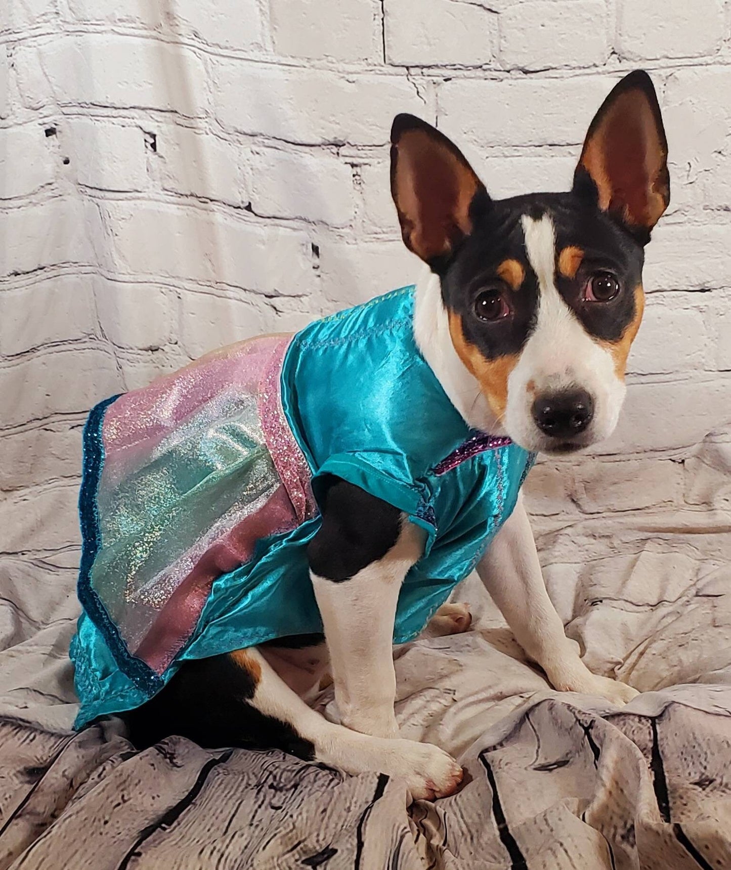 Teal satin rainbow pet dress, aqua rainbow dog dress, Irradescent rainbow dress, glitter Pet dress, Cat dress, Dog dress, special occasion