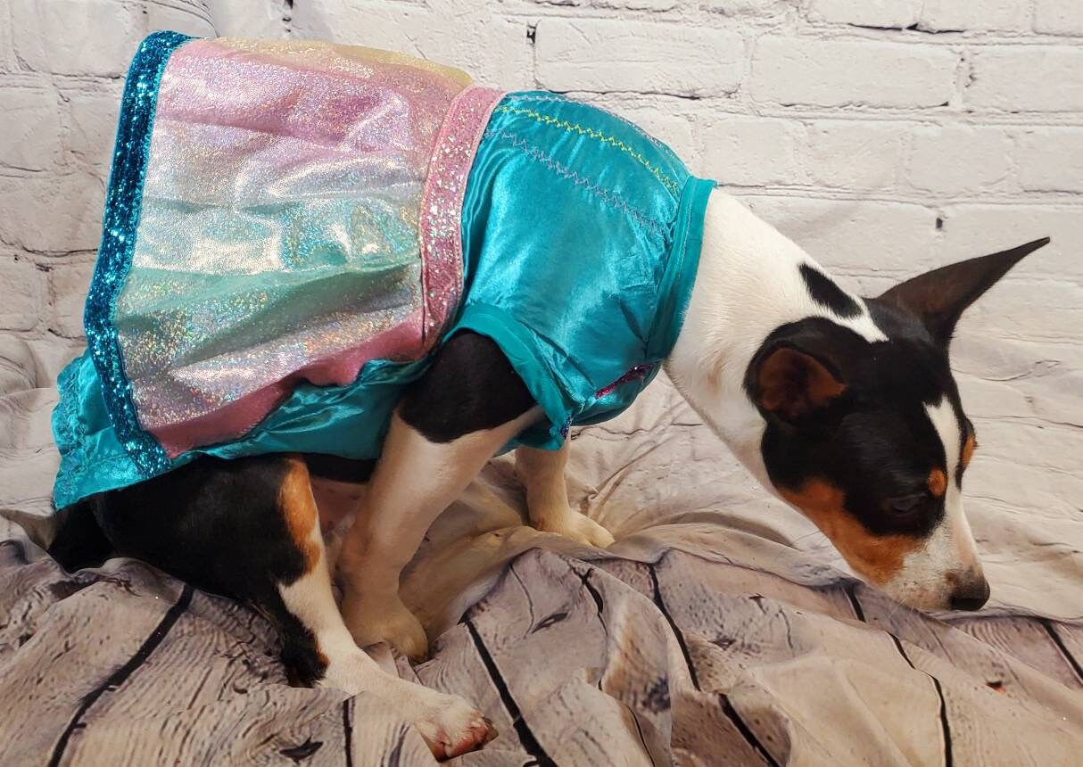 Teal satin rainbow pet dress, aqua rainbow dog dress, Irradescent rainbow dress, glitter Pet dress, Cat dress, Dog dress, special occasion