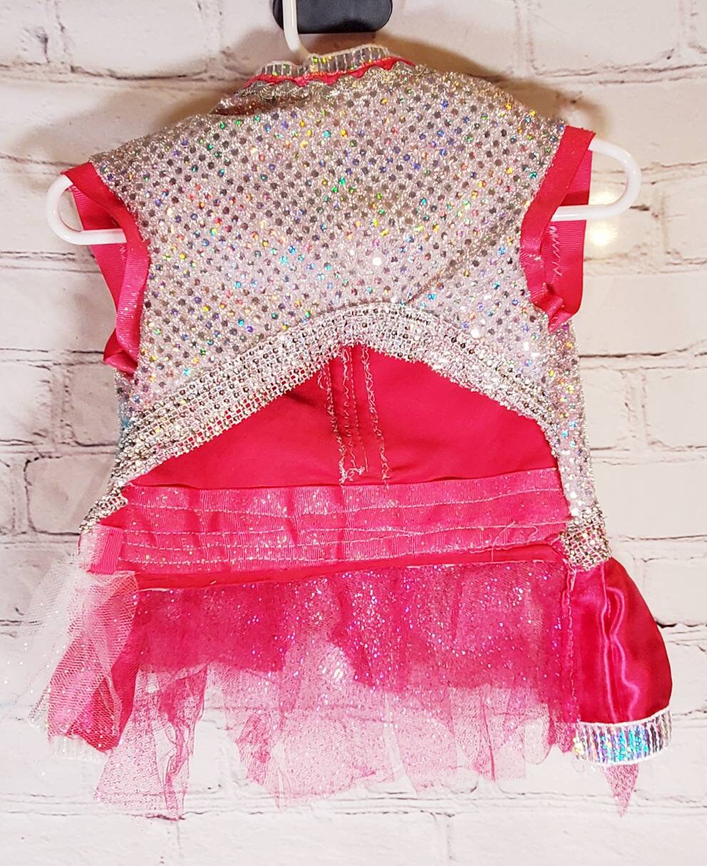 Irradescent hot pink pet dress, Disco pet dress, silver pet dress, princess pet dress, princess dog dress, pink dog cat dress