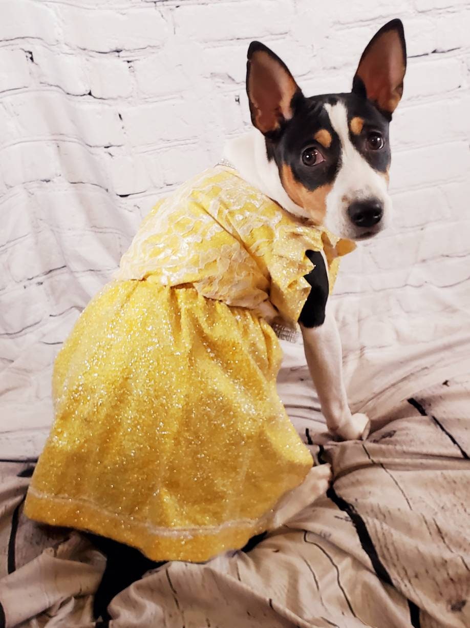 Lace mesh pet dress, yellow pet dress, lace dog dress, lace cat dress, mesh dog dress, pet sundress, dog dresses, polka dot pet dress