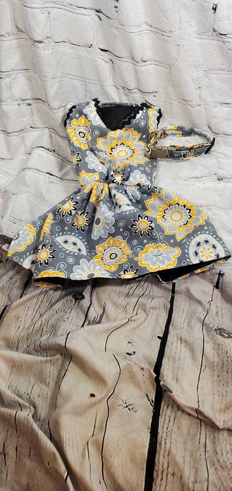 Flower Burst pet dress, flower Pet dress, flower cat dress, flower dog dress, dress collar combo, matching dress, dog sundress