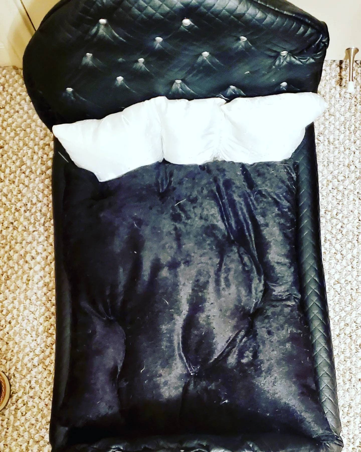 Pleather pet bed, leather pet bed, black luxury pet bed, leather dog bed, luxury pet beds, pleather dog bed, cat luxury bed