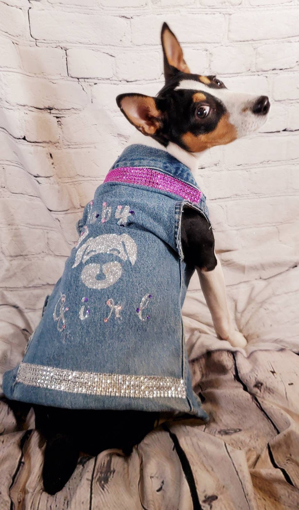 Personalize Blue Jean Pet Jacket, Personalize Pet Jacket, Blue Jean dog jacket, Blue jean cat jacket, Blue jean pet jacket, cat clothes