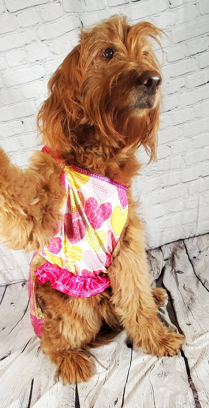 Large dog dress, large pet dress, pink pet dress, heart pet dress, dog sundress, pet dress for large dogs, girl pet dresses