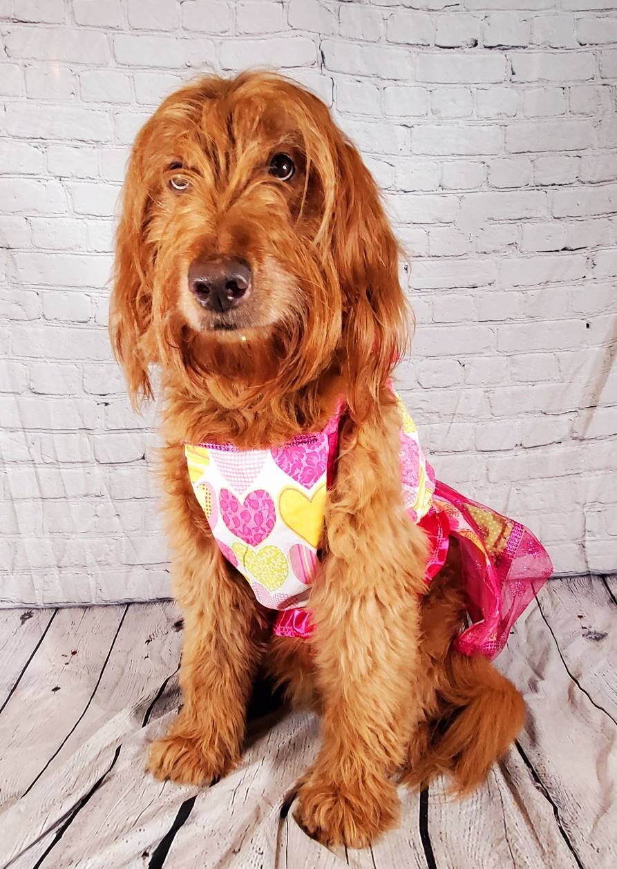Large dog dress, large pet dress, pink pet dress, heart pet dress, dog sundress, pet dress for large dogs, girl pet dresses
