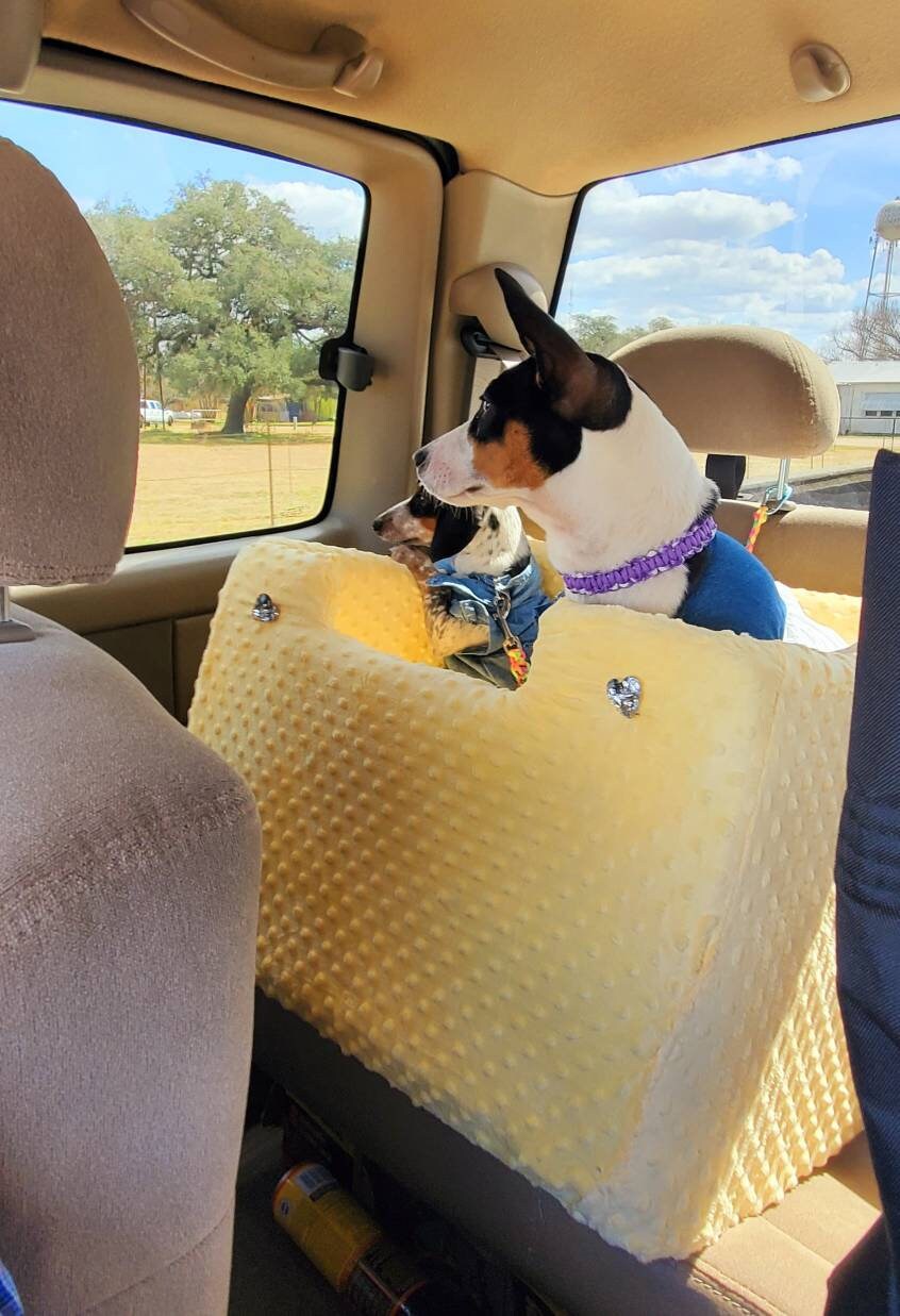 Pet car seat, dog car seat, dog booster seat, pet booster set, luxury pet bed, dog bed, luxury dog bed, safety pet seat, pet car bed