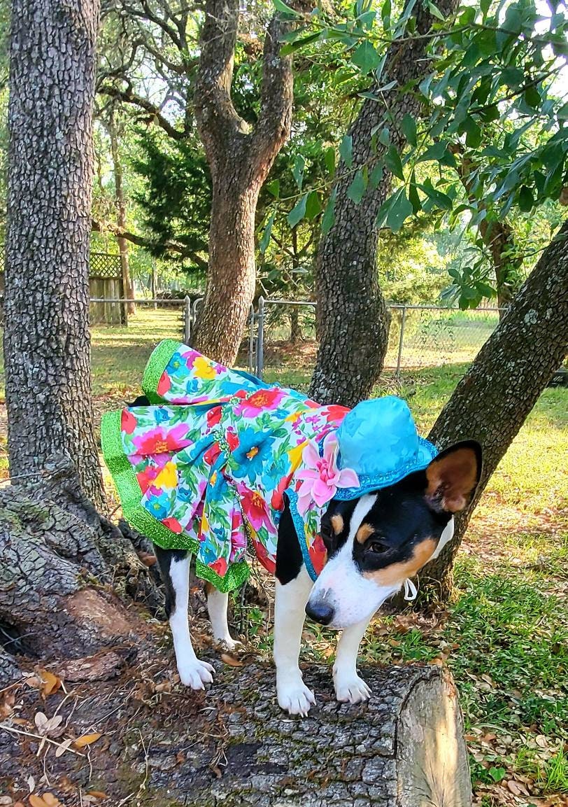 Flower Summer Pet dress/ pet sundress/ dog sundress/ flower print pet clothes/ glitter pet dress/ dresses for pets/ special occasion pet