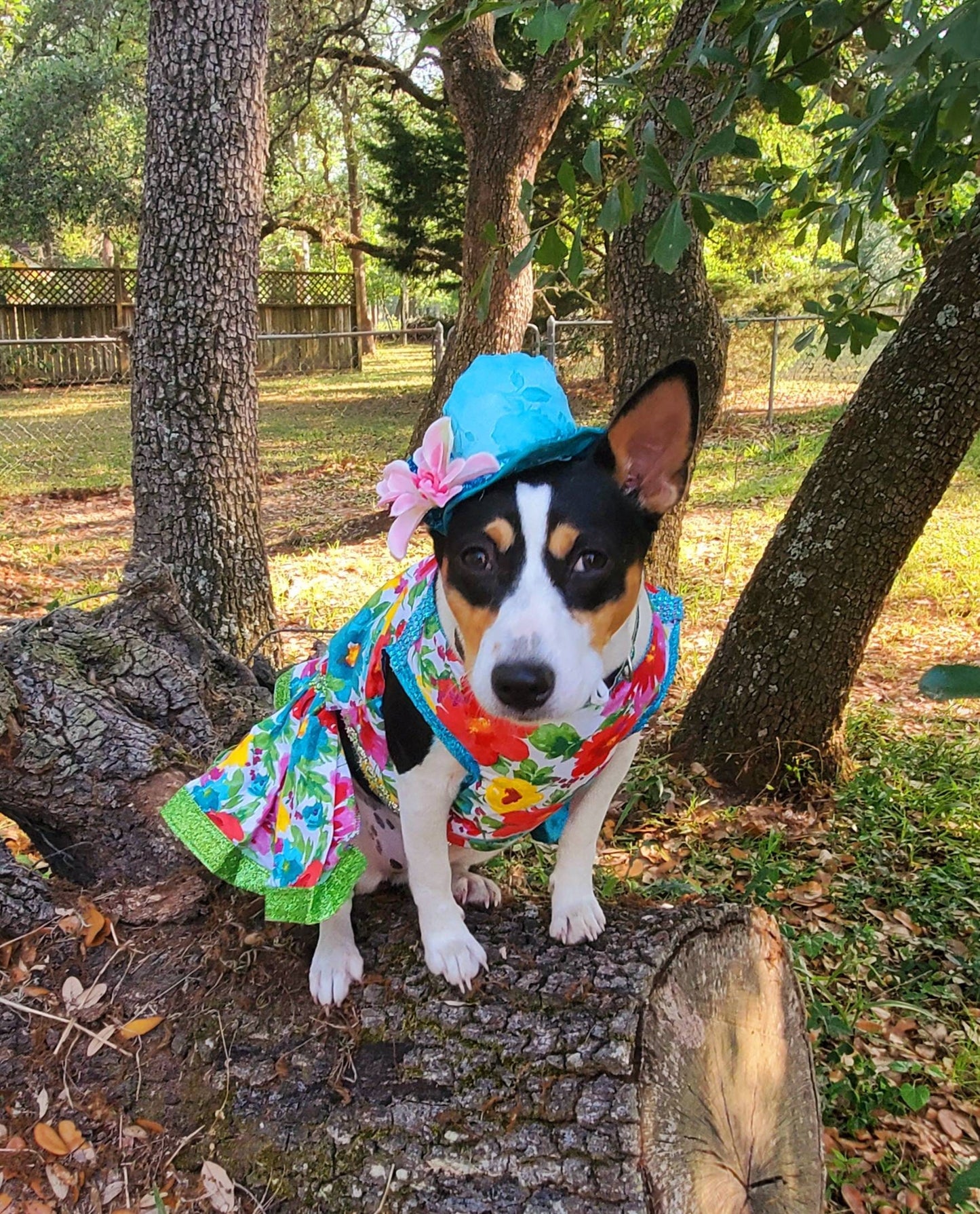 Flower Summer Pet dress/ pet sundress/ dog sundress/ flower print pet clothes/ glitter pet dress/ dresses for pets/ special occasion pet