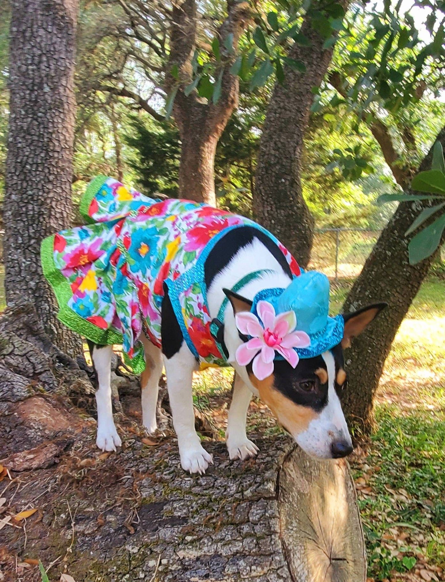 Flower Summer Pet dress/ pet sundress/ dog sundress/ flower print pet clothes/ glitter pet dress/ dresses for pets/ special occasion pet