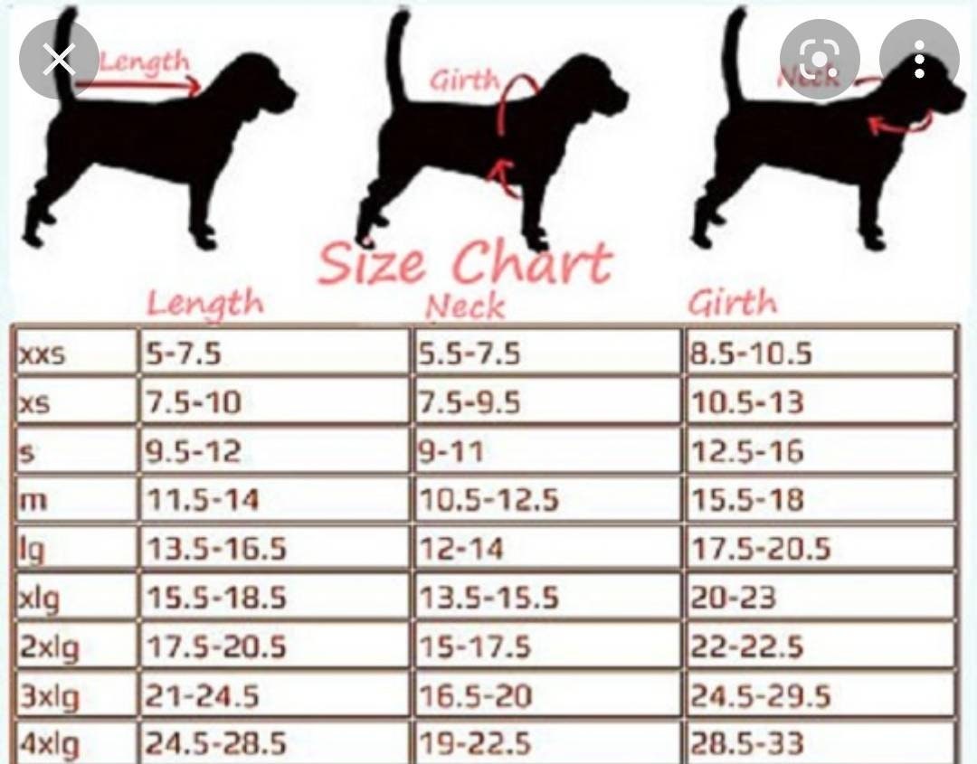 Flower Summer Pet dress/ pet sundress/ dog sundress/ flower print pet clothes/ glitter pet dress/ dresses for pets/ special occasion pet