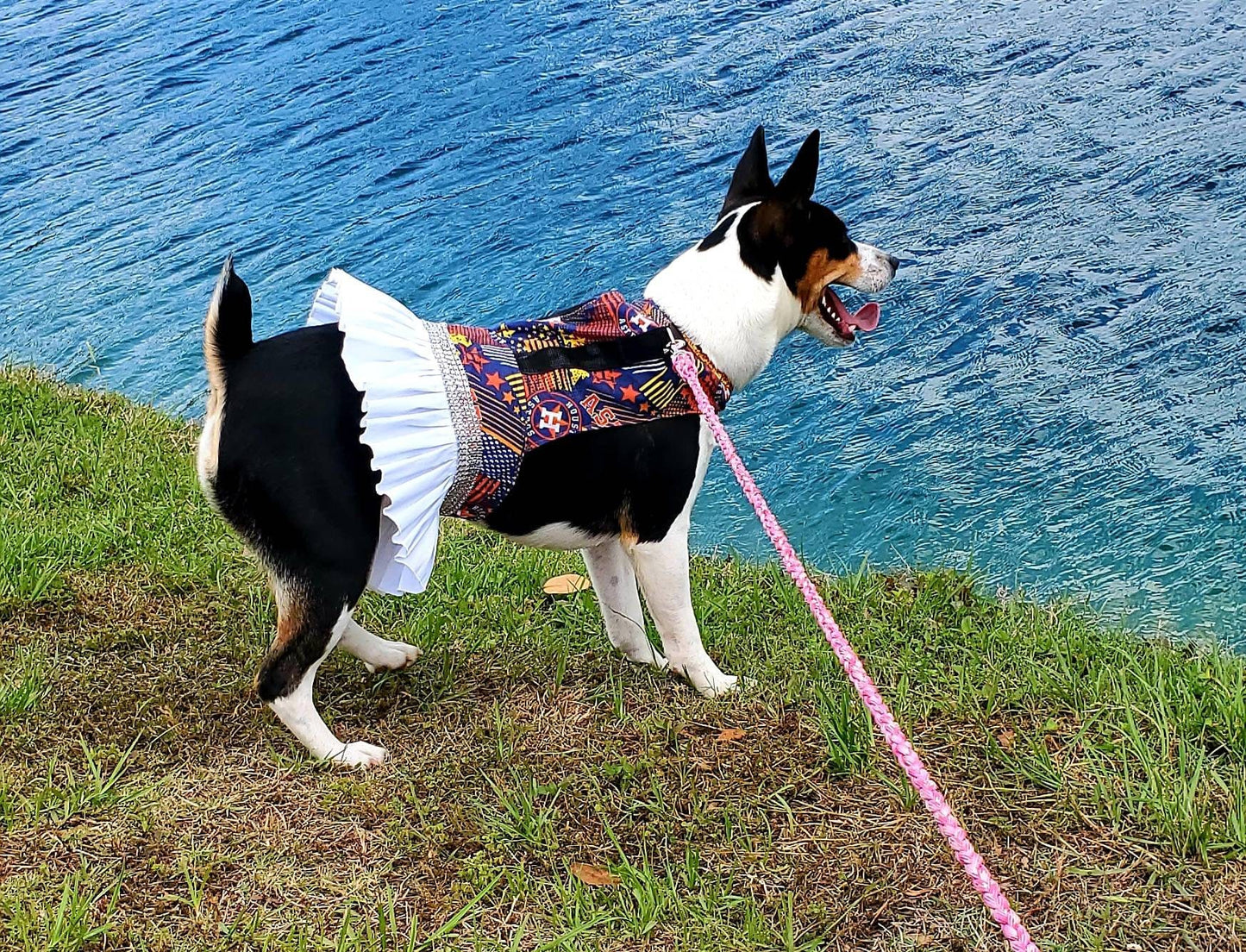 Houston Astros Pet harness dress, harness pet dresses, Astros Pet dress, Astros dog dress, Astros cat dress, dog harness dresses, cat