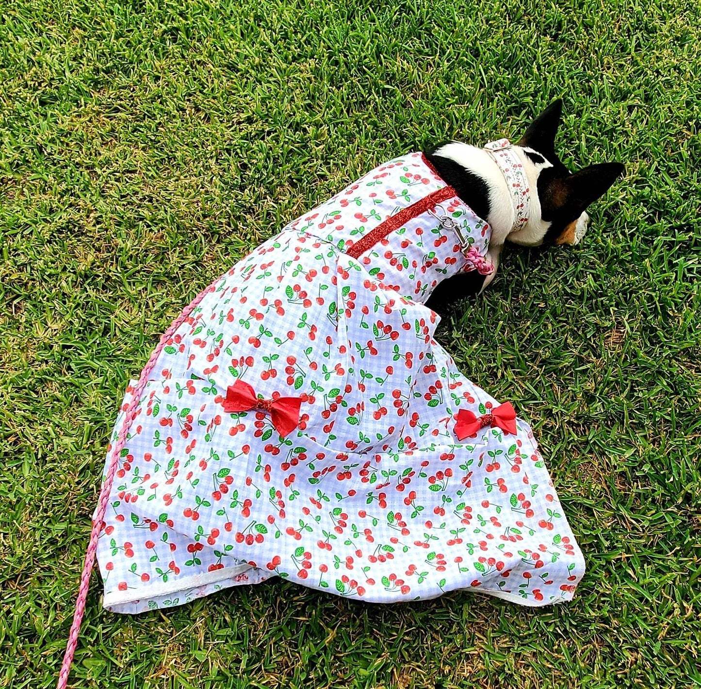 Cherry Pet Dress, Cherry dog dress, cherry cat dress, gingham print pet dress, lingerie pet dress with bows, dresses for pets, summer pet