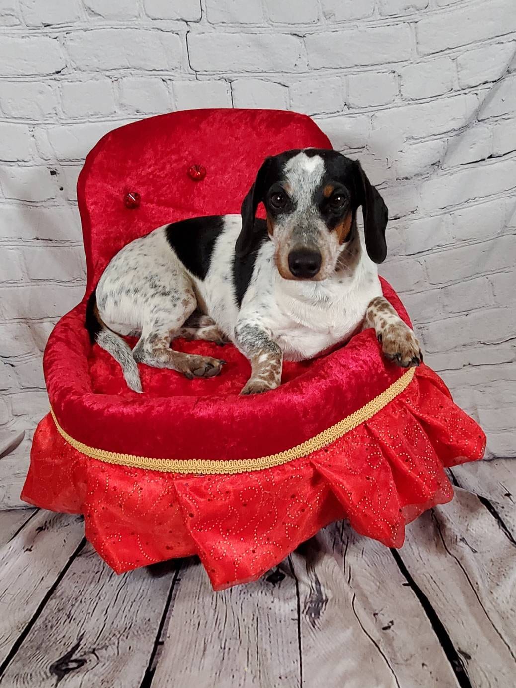 Royalty pet bed, velvet pet bed, royalty pet furniture, dog bed, pet bed, pet chair, king pet bed, dog pet bed with legs, luxury pet bed
