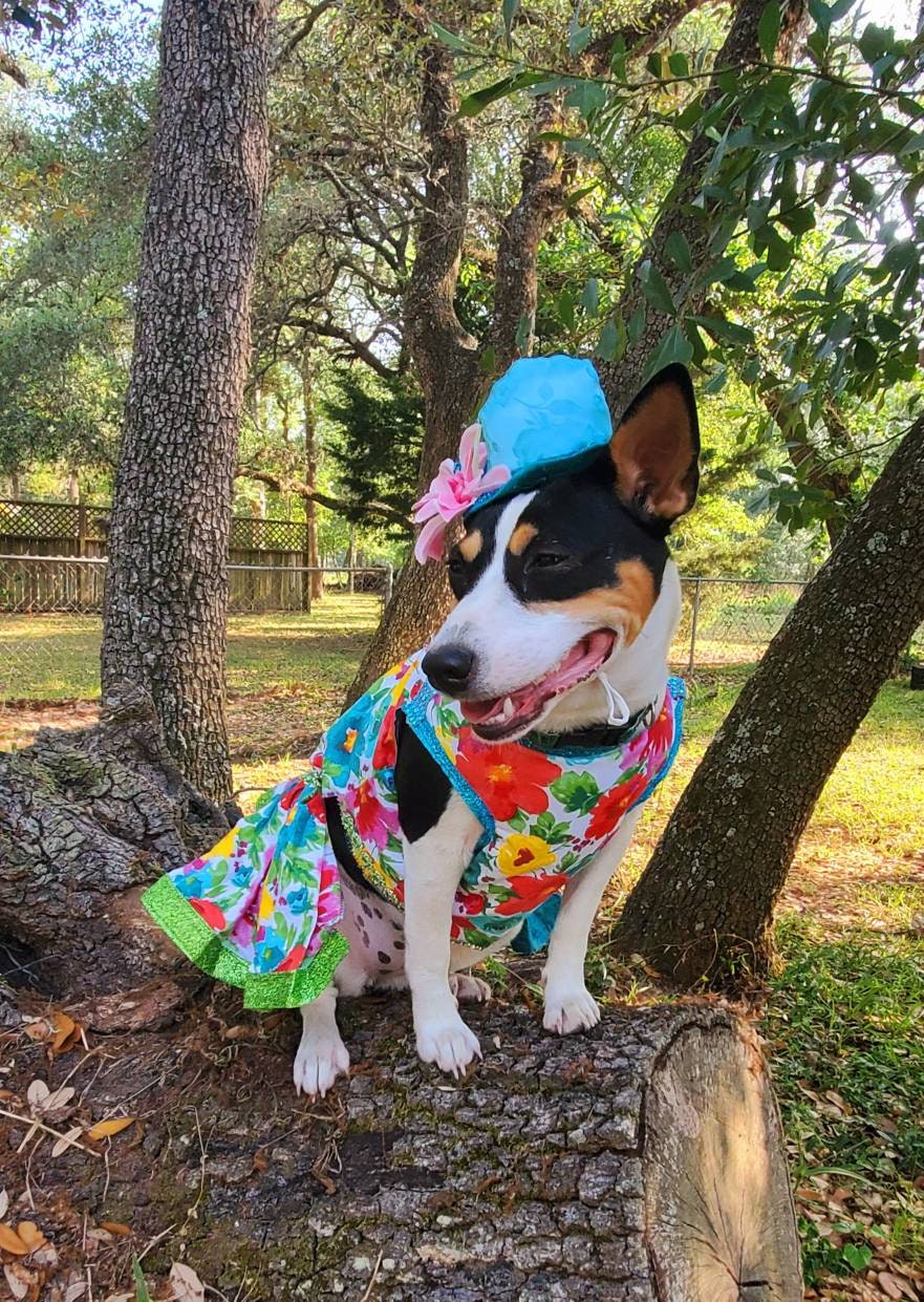 Flower Summer Pet dress/ pet sundress/ dog sundress/ flower print pet clothes/ glitter pet dress/ dresses for pets/ special occasion pet