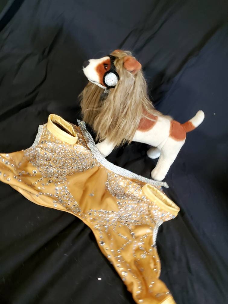 Britney Spears pet tan diamond costume, Britney spears dog tan diamond costume, Britney spears myv outfit pet, pop singer pet costume