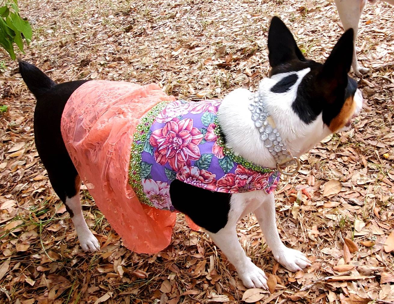 Flower lace pet dress, flower lace dog dress, flower Pet dress, dog dress, pet dress, pet sundress, lavender pet dress