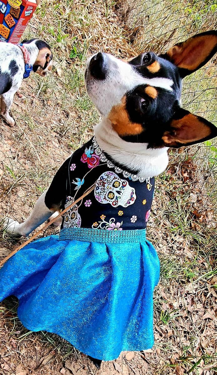 Day of the dead pet dress, day of the dead dog dress, day of the dead cat dress, day of the dead pet costume, pet dresses, dog dresses