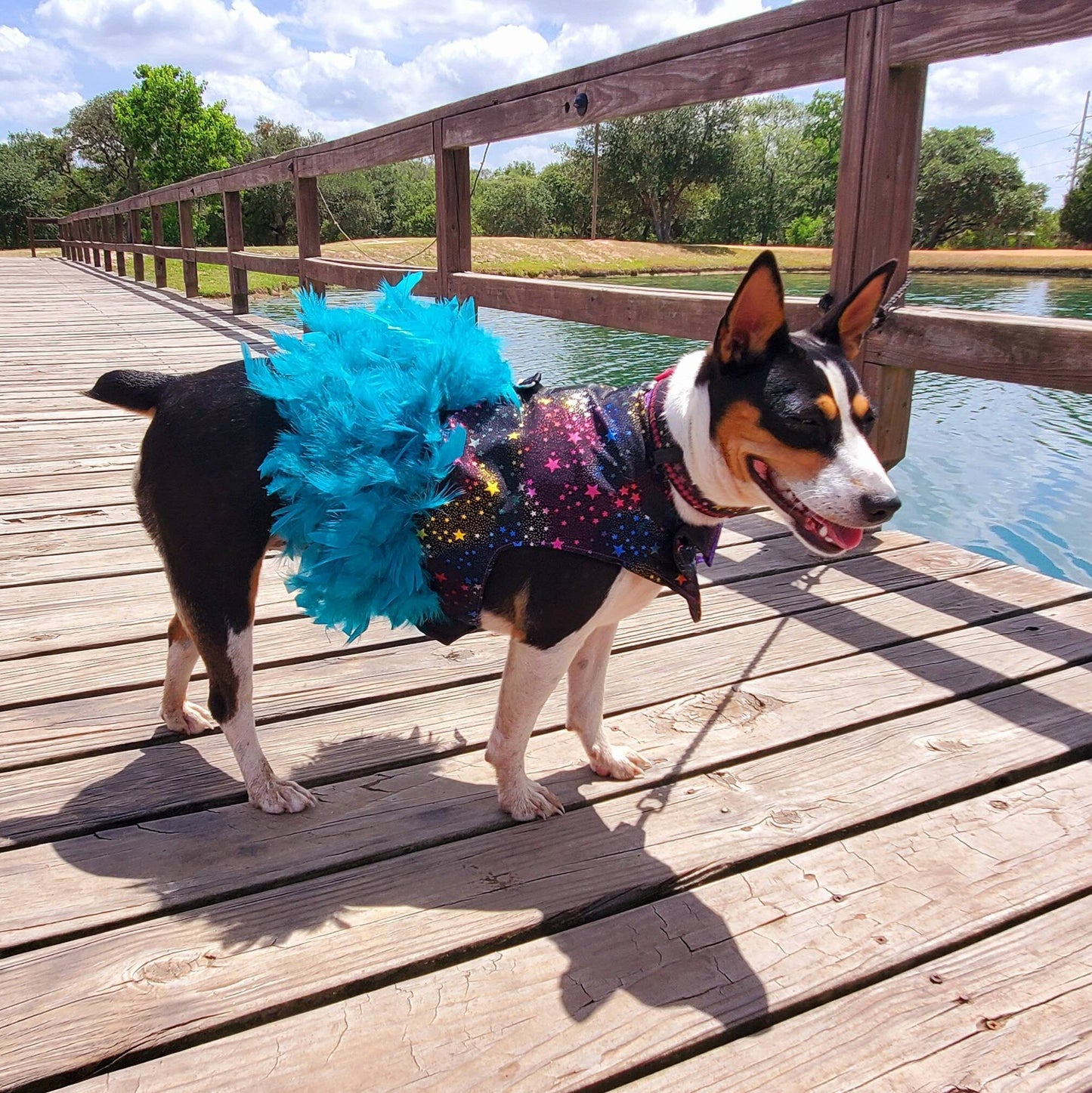 Pet feather harness, Pet harness dress, star pet harness, dog feather harness, cat feather harness, star dog harness, star pet dress