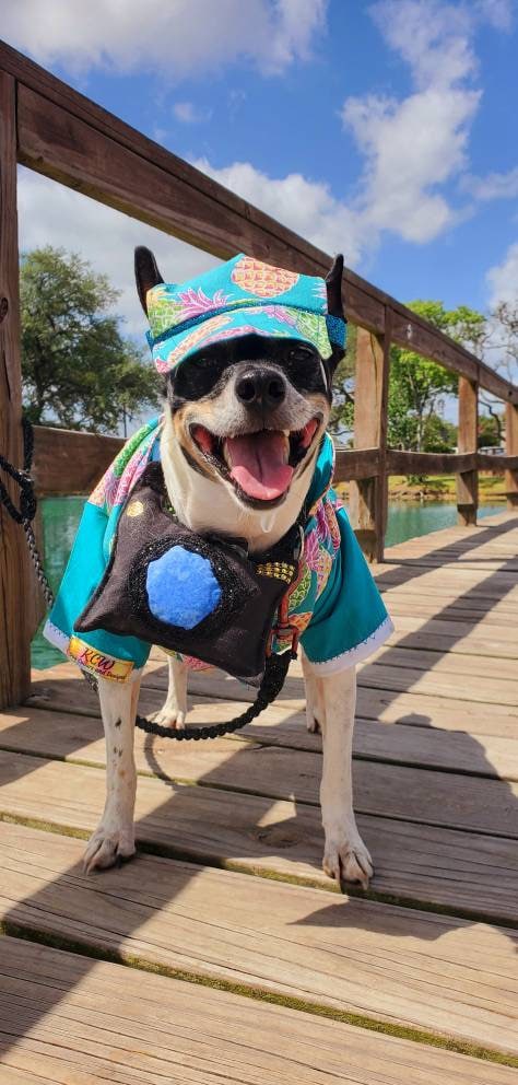 Pet tourist costume, dog tourist costume, pineapple pet shirt, Hawaiian pet costume clothing, male tourist costume, clothes for dogs