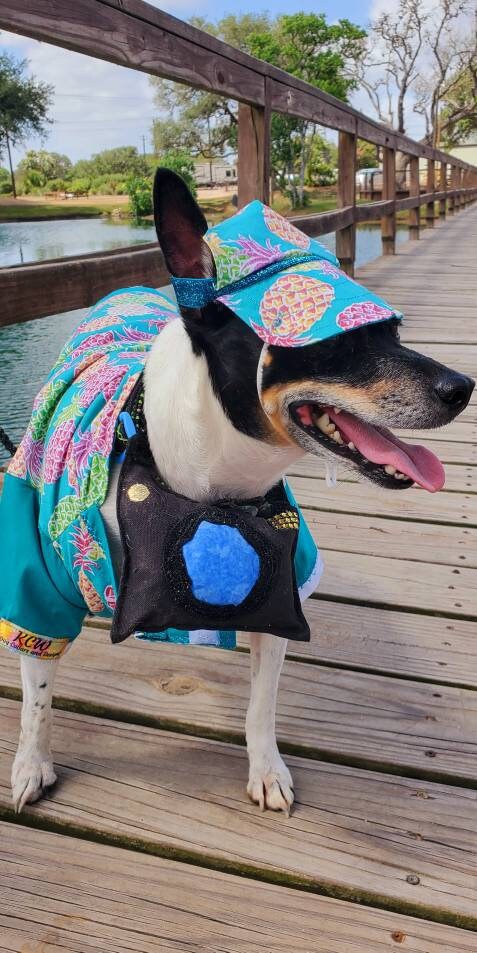 Pet tourist costume, dog tourist costume, pineapple pet shirt, Hawaiian pet costume clothing, male tourist costume, clothes for dogs