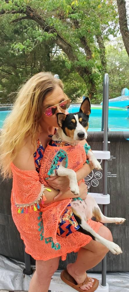 Pet dog Bathing Suit pet cover up, bathing suit dog cover up, pet swimwear, pet beach wear, dog bathing suit cover up, dog dress, pet dress