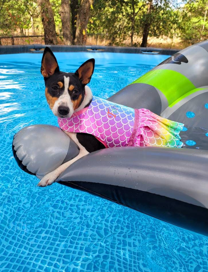 Mermaid Pet dress, Mermaid dog dress, personalized pet dress, personalized dog dress, personalized pet dresses, Mermaid print dress for pets